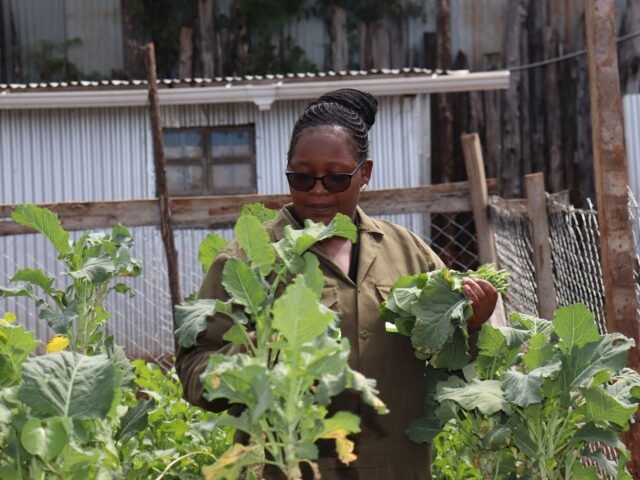Rotich-removes-her-vegetables-for-an-order-she-has-received-via-Facebook-message.-1-1780346787.jpg