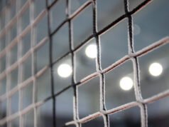 L’allenatrice di pallavolo avrebbe aspettato che lo studente compisse 18 anni per fare sesso con lei