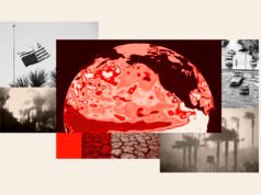 Le importazioni alimentari statunitensi sono quelle più a rischio a causa del Super El Niño quest’estate