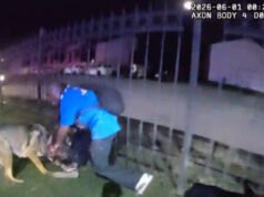 Presunto intruso identificato, arrestato dopo aver lasciato il portafoglio sulla scena