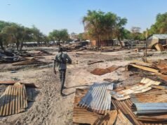 Jonglei del Sud Sudan: Chi ha bruciato case e messo a tacere gli ospedali?