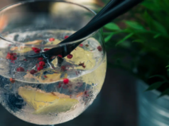 World Gin Day 2026: segui queste semplici ricette per gustare gustosi cocktail a base di gin