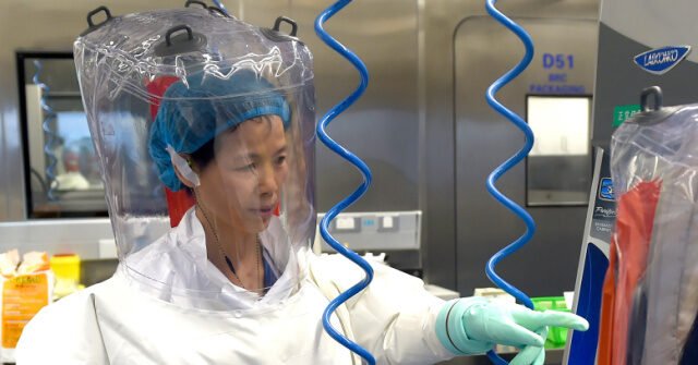 Wuhan-Biolab-China-640x335.jpeg