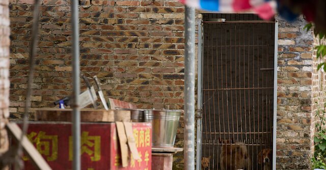 YL__0497_Original-file-640x335.jpg