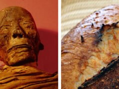 Gli scienziati producono un lievito naturale dal lievito trovato all’interno di una mummia di 5.000 anni
