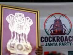 I sostenitori del Partito popolare dello scarafaggio protestano a Nuova Delhi