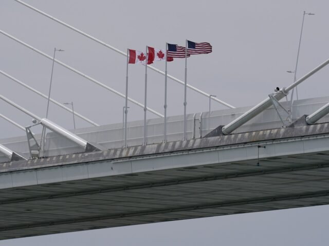 ap_6a2872f392b19-1781035763.jpg