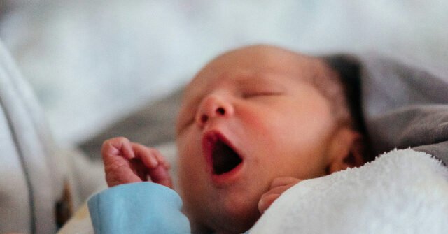 baby-640x335.jpg