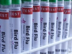 L’influenza aviaria H5N1 è stata confermata per la prima volta in Australia, il che significa che il virus ha ormai raggiunto tutti i continenti