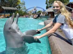 Dottie, il delfino di 39 anni, amatissimo SeaWorld di San Diego, muore