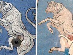Il restauratore nega di aver rimosso i testicoli “portafortuna” dal mosaico del toro di Milano