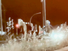 Secondo quanto riferito, i fuochi d’artificio innescano una fuga di cavalli di massa per le strade di Roma, ferendo diversi soldati