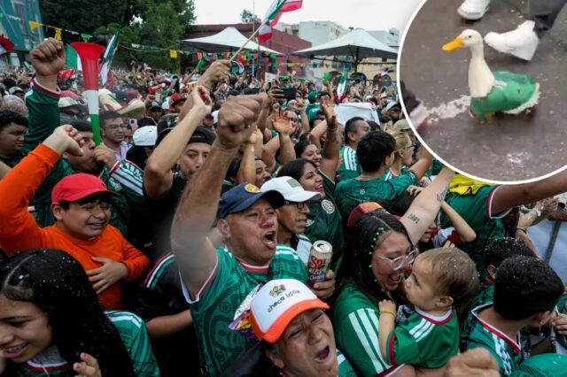 mexico-fans-celebrate-duck-comp.jpg