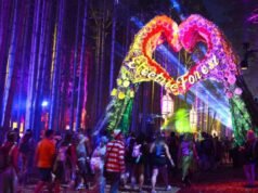 Neonato trovato morto nel vasino al festival musicale Electric Forest