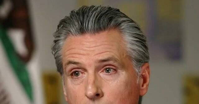 newsom3456-640x335.jpg