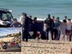 Nuotatore gravemente ferito nell’attacco di uno squalo al largo della spiaggia australiana