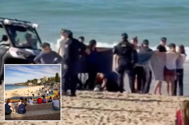 Nuotatore gravemente ferito nell’attacco di uno squalo al largo della spiaggia australiana Nuotatore gravemente ferito nell’attacco di uno squalo al largo della spiaggia australiana