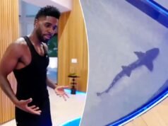 Jason Derulo affronta una reazione negativa per la vasca degli squali da 1 milione di dollari nella sua casa in California