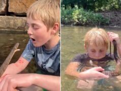 Il “piccolo Steve Irwin” afferra i serpenti e viene morso di proposito per divertimento