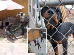 Il poliziotto della SoCal uccide l’amato cane di famiglia durante la ricerca fallita del sospetto: “È morta lentamente”