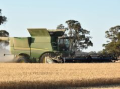 Scossa: i gruppi di coltivatori di cereali sostengono la riduzione del prelievo GRDC, modello di proprietà degli agricoltori