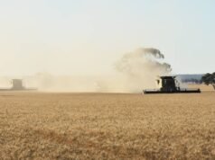Rischi delle offerte private di cereali: i guadagni a breve termine potrebbero non essere un grande affare