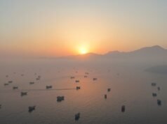 Trump afferma che le navi “iniziano a muoversi” attraverso lo Stretto di Hormuz