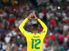 I tifosi del Sud Africa acclamano lo storico ingresso a eliminazione diretta della Coppa del Mondo dopo la vittoria della Corea
