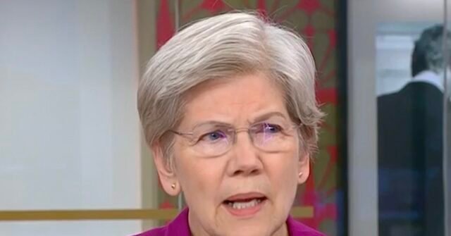 warren-2-640x335.jpg