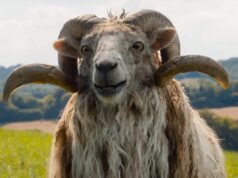 Il film Sheep di Hugh Jackman, acclamato dalla critica, “The Sheep Detectives” è ora in streaming: ecco dove guardarlo