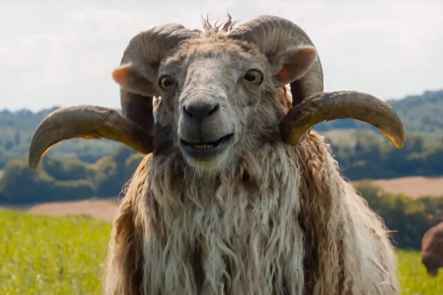 watch-the-sheep-detectives-movie-streaming-amazon-prime-release-date.jpg