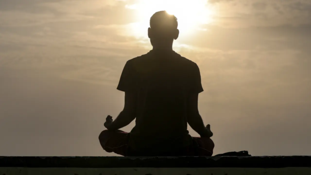 yogadaylatestnews2-1781866334197_d.png