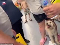 La donna del momento che ha liberato il cane dal furgone a 34°C ha litigato furiosamente con il proprietario che urlava “Dammi il mio cane!” mentre minaccia di darle un pugno in faccia