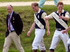 L’uomo che potrebbe riconciliare i principi in guerra della Gran Bretagna: un esperto reale rivela perché un ex soldato della SAS potrebbe “senza dubbio” riunire William e Harry