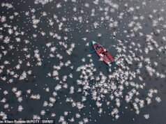 I migliori scatti degli Aerial Photographer of the Year Awards