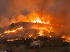 Gli incendi devastano l’Europa in mezzo a ondate di caldo soffocante mentre decine di persone rimangono disperse in Spagna dopo che le morti sono aumentate di quasi un terzo in Francia