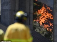 Un uomo britannico morto negli incendi in Spagna dopo essere tornato a salvare i gatti ha fatto l’ultima straziante chiamata alla moglie mentre le fiamme circondavano l’auto – mentre le autorità identificavano almeno 12 persone