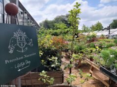 Come il garden center più elegante del Regno Unito sta guadagnando con la “vecchia spazzatura”: tavoli arrugginiti e sedie scrostate che potresti trascurare in una svendita di automobili valgono fino a quattro cifre nei vivai del Surrey amati dalle celebrità