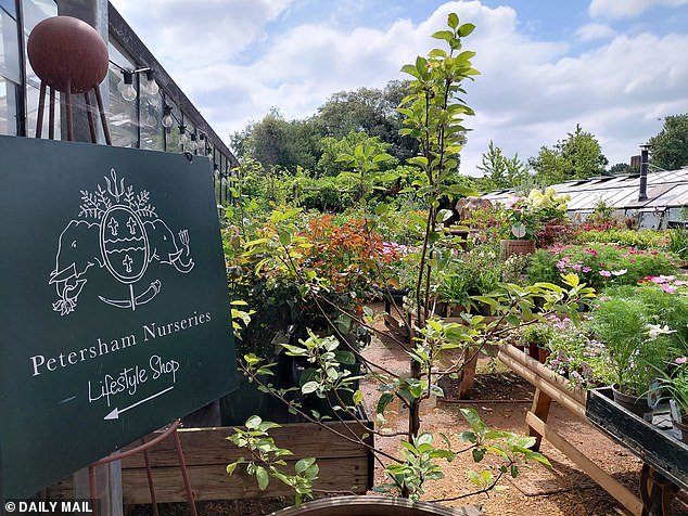 110035657-15979043-Owned_by_the_Boglione_family_Petersham_Nurseries_around_a_mile_f-a-31_1784131660406.jpg