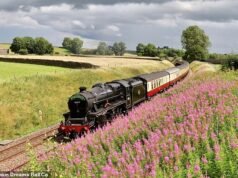 I treni a vapore sono VIETATI a livello nazionale durante l’ondata di caldo dopo che il treno di Harry Potter ha iniziato a incendiarsi