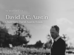 La star di Gardeners’ World David JC Austin è morto all’età di 67 anni: il proprietario dell’omonimo marchio di rose perde la battaglia contro una malattia legata alla mucca pazza mentre Monty Don guida i tributi