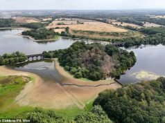 Gli agricoltori britannici lanciano un avviso di 10 giorni sulle scorte di cibo mentre continua il clima secco da record e il divieto di usare gli tubi a Londra inizia OGGI