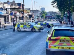 Sei vengono arrestati per omicidio mentre un uomo, 22 anni, viene pugnalato a morte in uno scontro a coltello a Clapham che ha visto anche quattro feriti