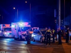 Caccia all’uomo dopo che l’autista si è riversato sulla folla durante la parata del Pride nella capitale tedesca Berlino – con almeno una persona uccisa e feriti multipli
