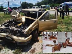 Otto monaci uccisi durante un pellegrinaggio in Thailandia dopo che un camion guidato da un ragazzo di 11 anni si è schiantato contro di loro