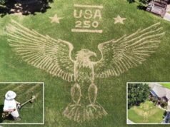 Il proprietario di una casa in Alabama crea il prato più patriottico per celebrare l’America 250 con un murale con un’aquila calva