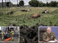 La Russia accusata di aver scaricato in Ucraina carcasse di bovini infetti dall’antrace: “terrorismo biologico”