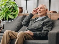 L’erba può aiutare i pazienti affetti da demenza? Lo studio rileva aspetti positivi sorprendenti
