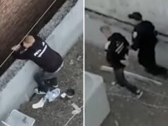 Il sospettato di crudele tortura di gattini rilasciato secondo la legge della California ora è in fuga dopo aver saltato l’udienza in tribunale