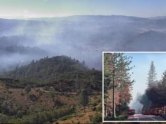 Il rapido movimento di Dove Fire provoca il caos mentre evacuazioni di massa nella città “la porta di Yosemite”